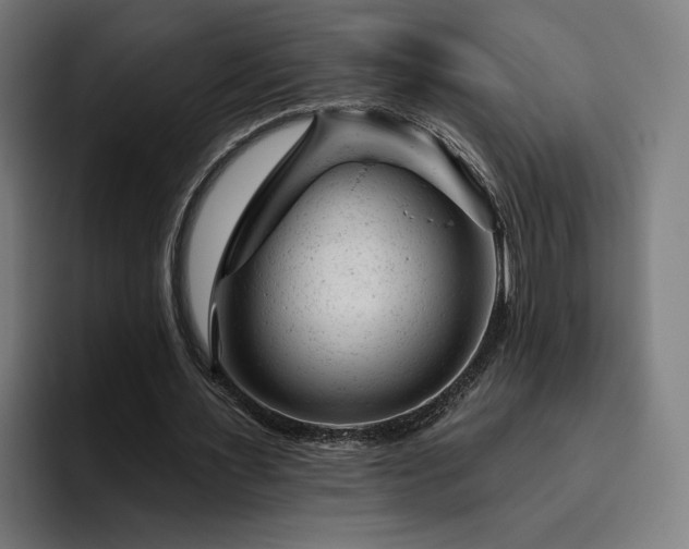 X0000094770483200711161359