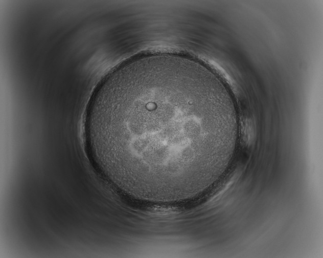 X0000094770487200711161359