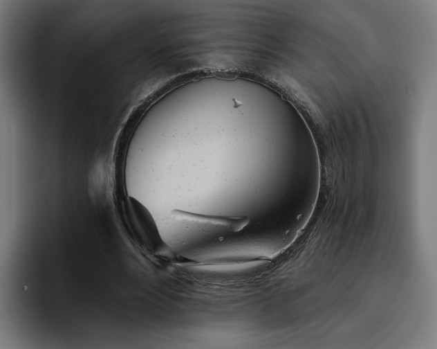 X0000094770488200711161359