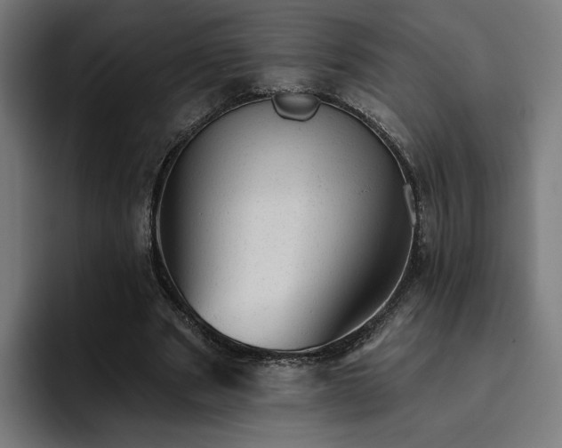 X0000094770489200711161359