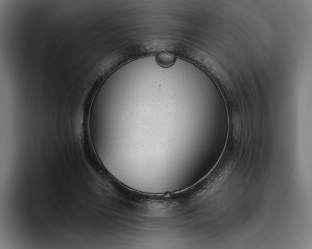 X0000094770490200711161359