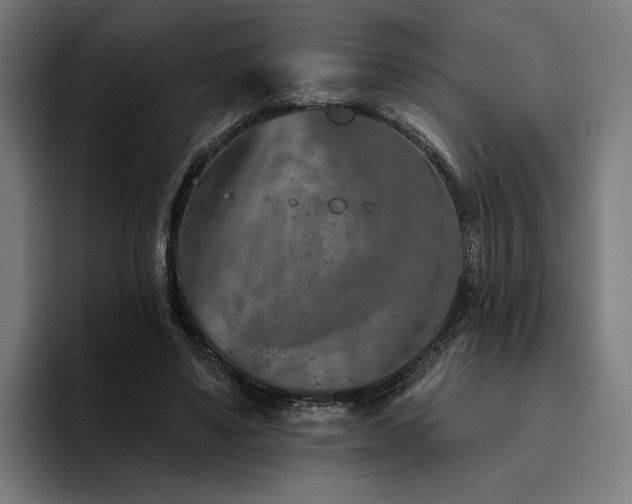 X0000094770491200711161359