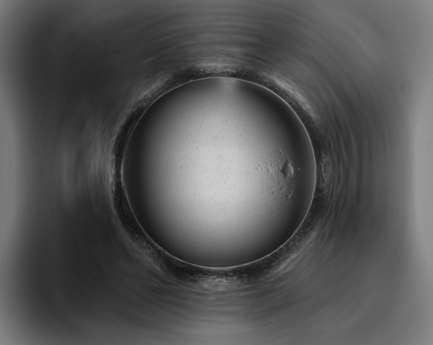 X0000094770494200711161359