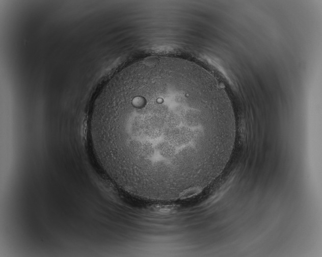 X0000094770495200711161359