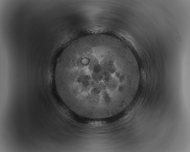 X0000094770499200711161358