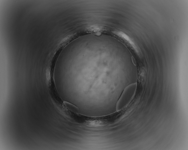 X0000094770500200711161358