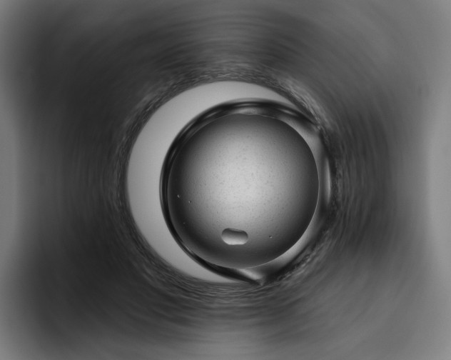 X0000094770501200711161358