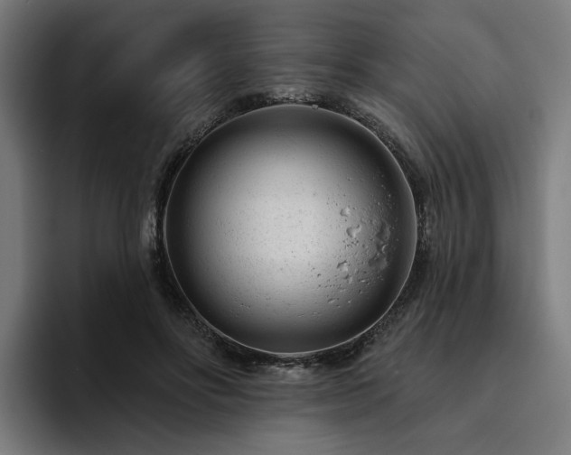 X0000094770502200711161358