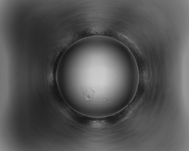 X0000094770508200711161358