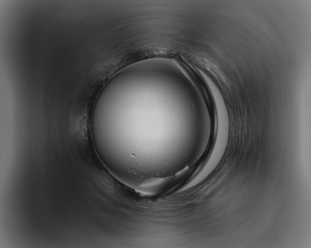 X0000094770509200711161358