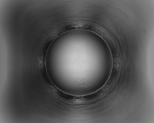 X0000094770510200711161358