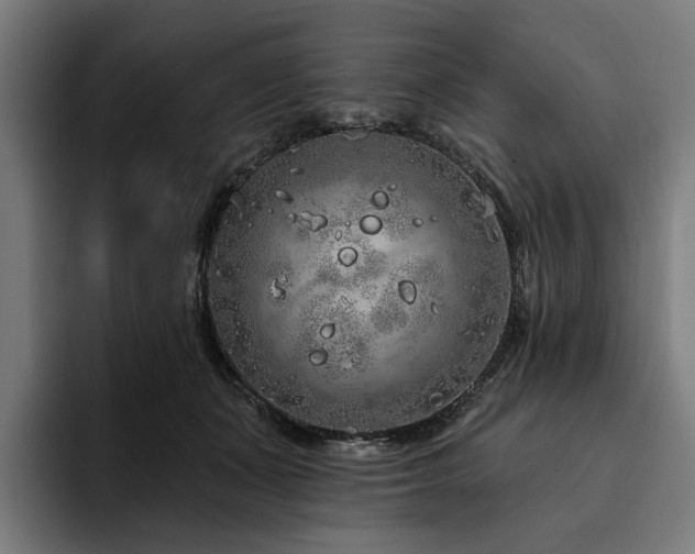 X0000094770511200711161358