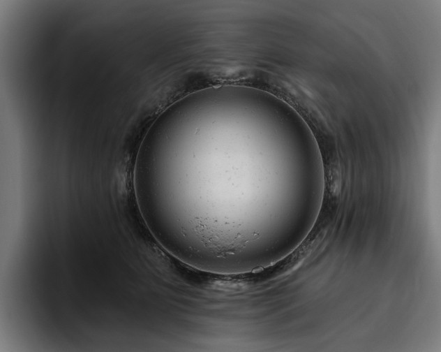 X0000094770515200711161358