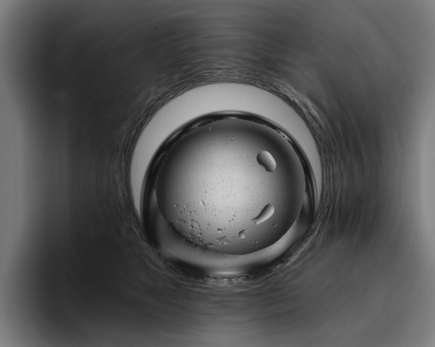 X0000094770517200711161358