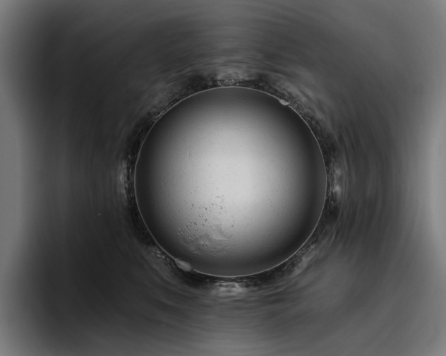 X0000094770519200711161358