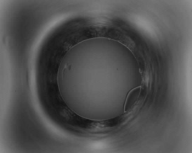 X0000094770526200711161358