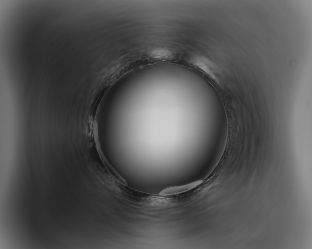 X0000094770528200711161358