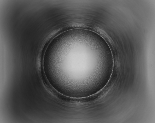 X0000094770533200711161358