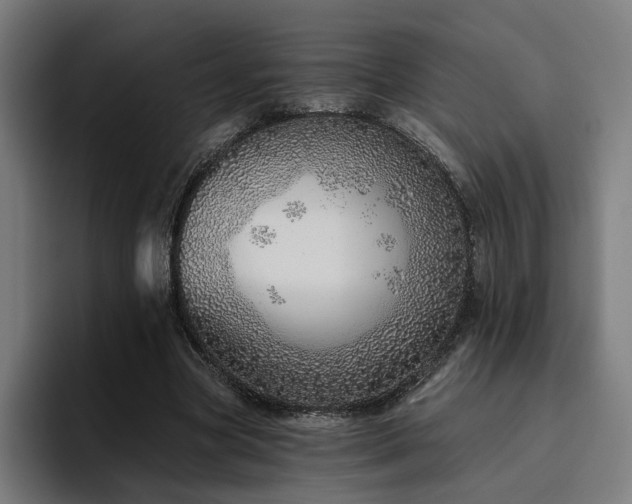 X0000094770537200711161358