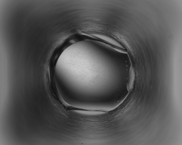 X0000094770539200711161358