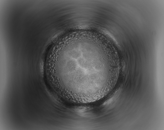 X0000094770542200711161358