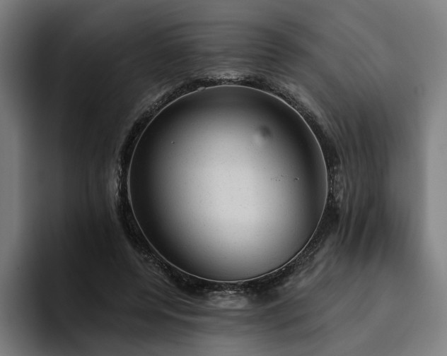 X0000094770544200711161358