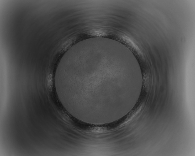 X0000094770549200711161358