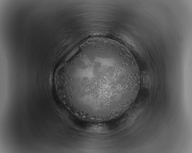 X0000094770550200711161358