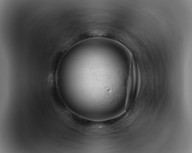 X0000094770551200711161358