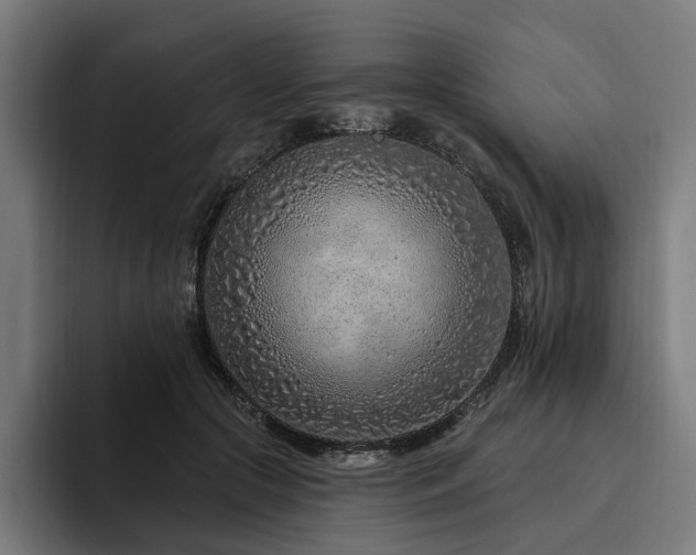 X0000094770553200711161358