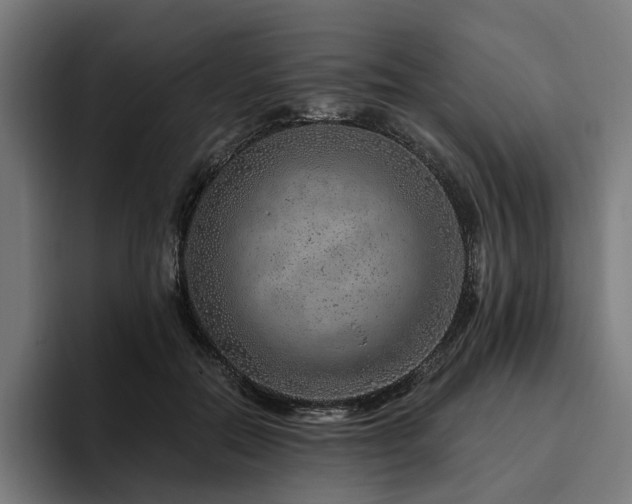 X0000094770554200711161358