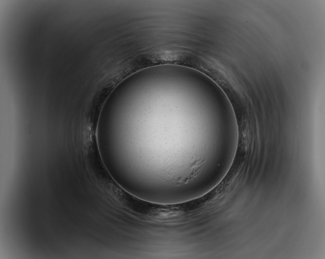 X0000094770555200711161358