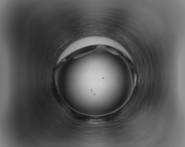 X0000094770556200711161358