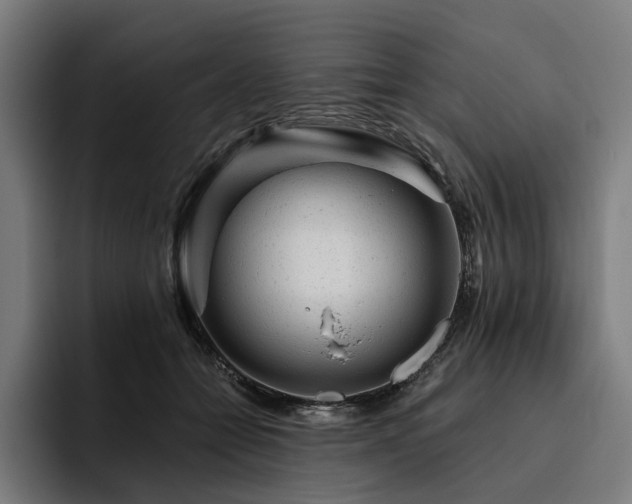 X0000094770558200711161358