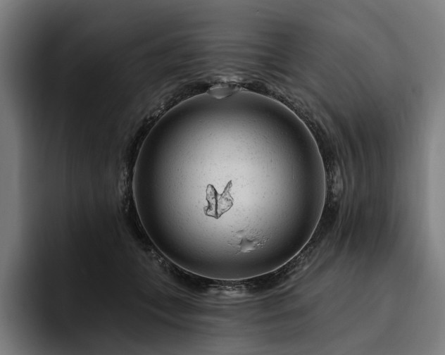 X0000094770559200711161358