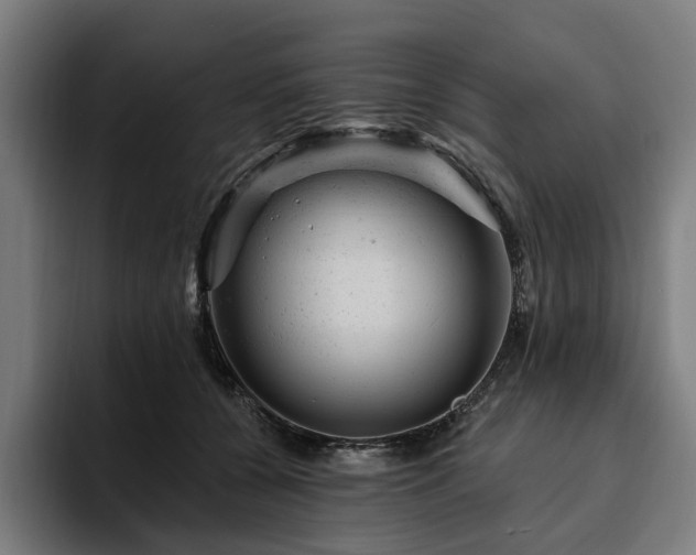 X0000094770560200711161358