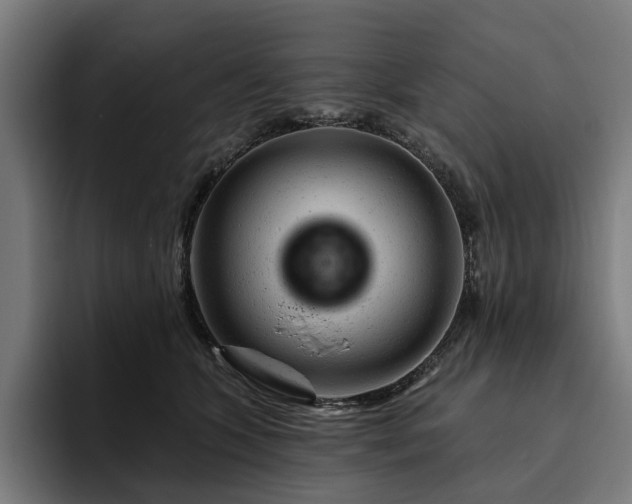 X0000094770563200711161358