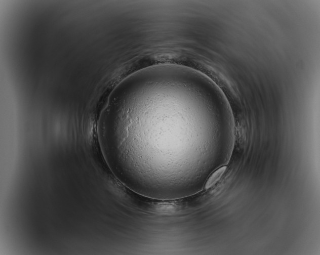 X0000094770574200711161358