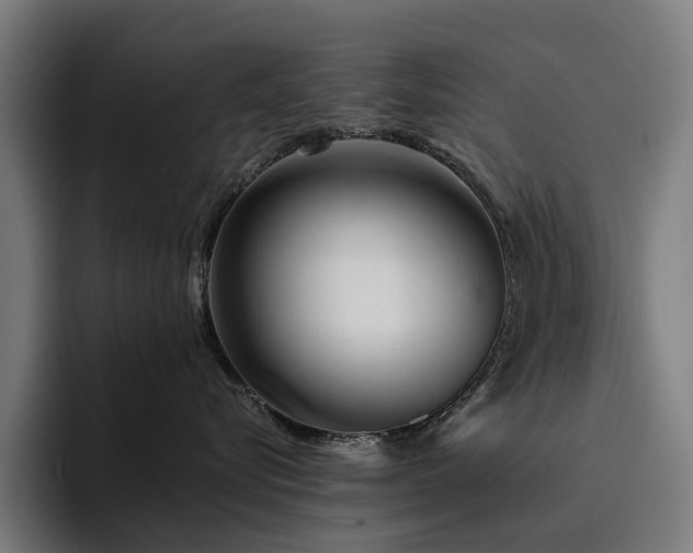 X0000094770576200711161358