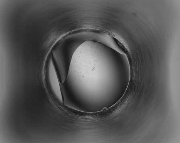 X0000094770580200711161357