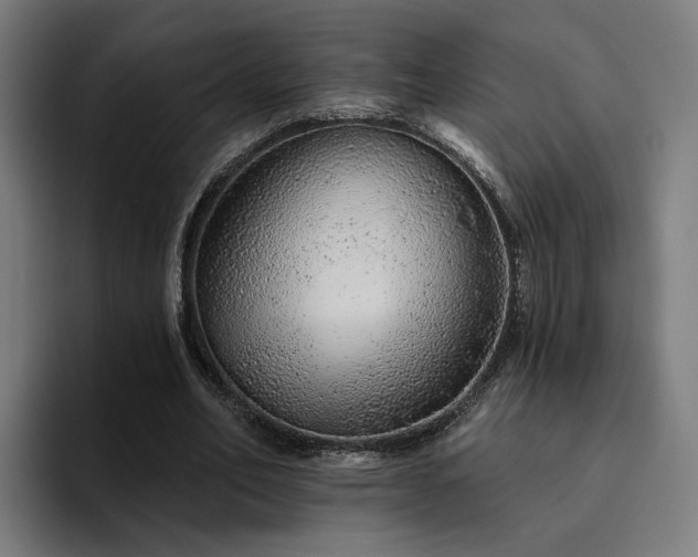 X0000094770582200711161357