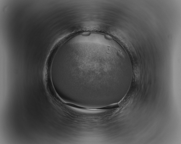 X0000094770583200711161357