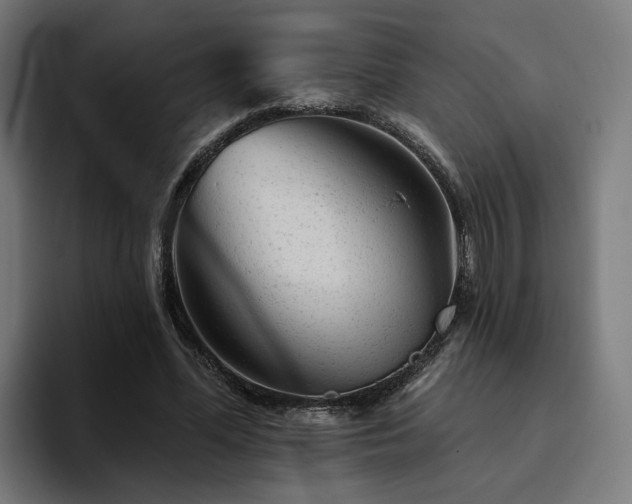 X0000094770588200711161357