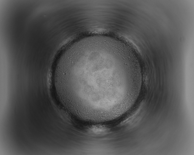 X0000094770591200711161357