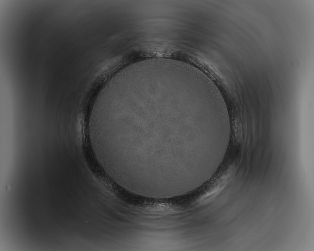 X0000094770594200711161357