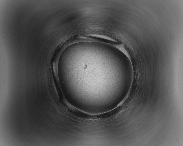 X0000094770595200711161357