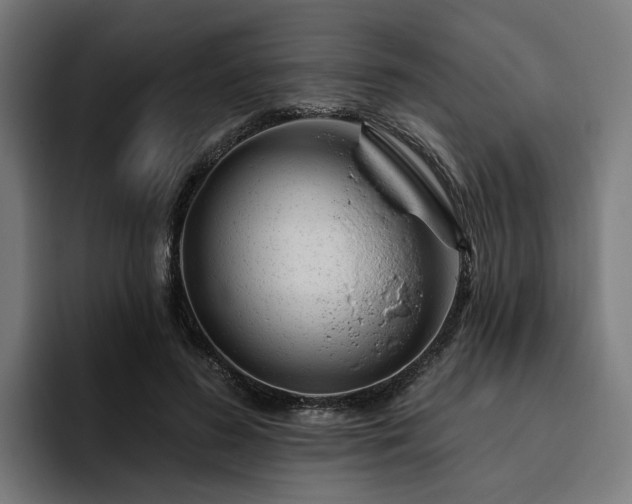 X0000094770596200711161357