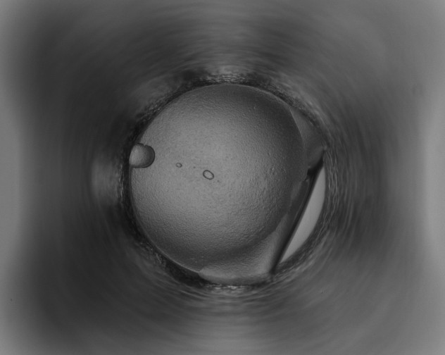 X0000094770599200711161357