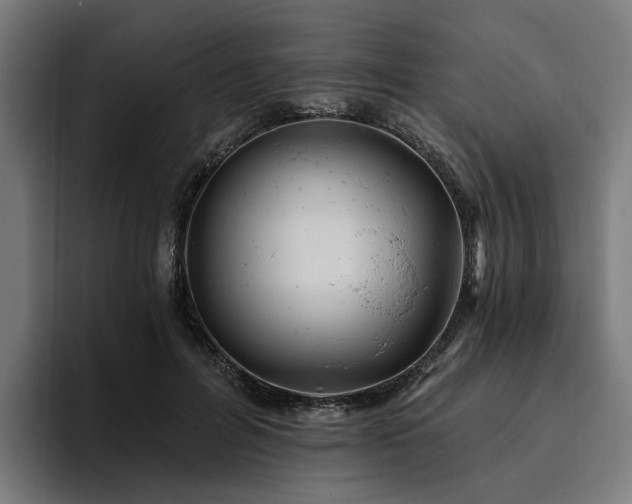 X0000094770600200711161357