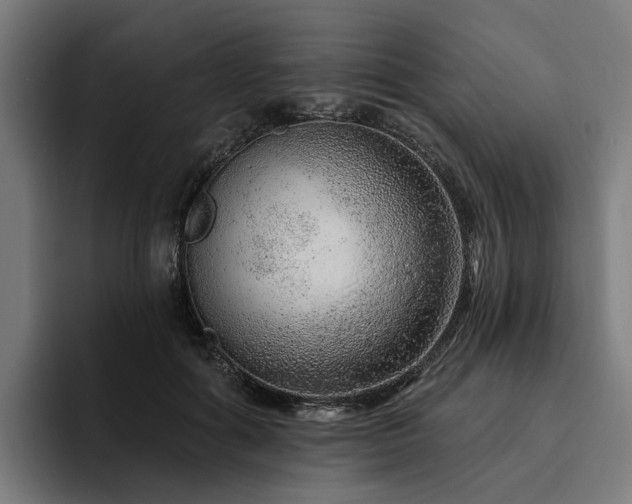 X0000094770602200711161357